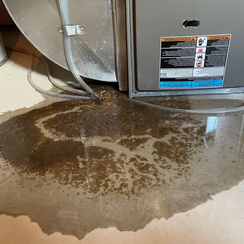 Pipe Burst and Leak Restoration in Bethel, ME
