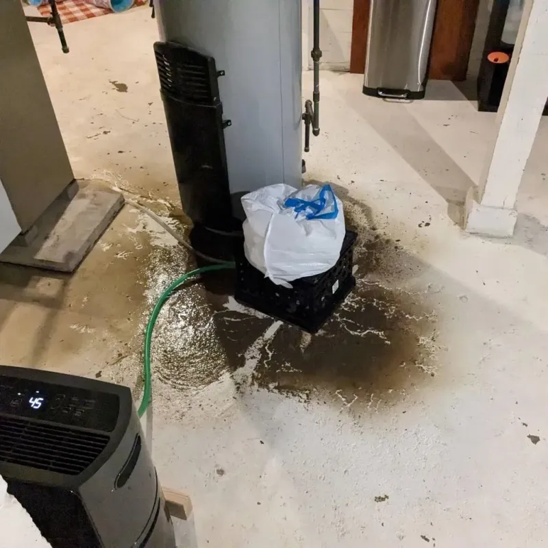 Sewage Backup Cleanup Service in Bethel, ME